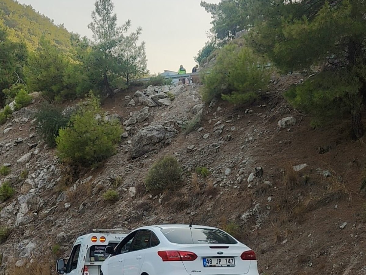 Fethiye Çekici